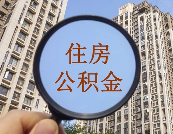 象山退休后查不到公积金明细了吗（退休后公积金查询不到原因）